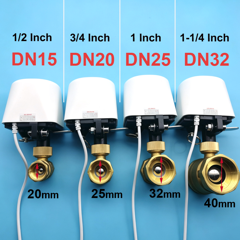 1/2インチ 3/4インチ 1インチ DN32 Tuya Z - Smart Garden Home Assistant のレビューと価格