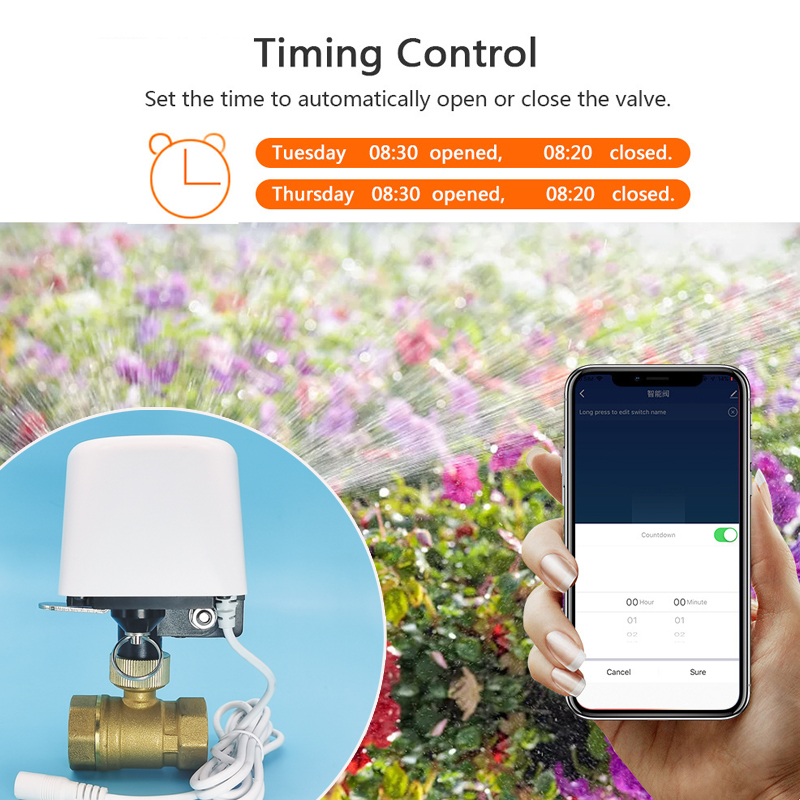 1/2インチ 3/4インチ 1インチ DN32 Tuya Z - Smart Garden Home Assistant のレビューと価格