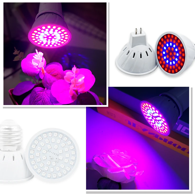 フルスペクトルLED成長ランプ,植物ランプ,屋内苗,花,フィ - Plant Grow Light Full Spectrum のレビューと価格