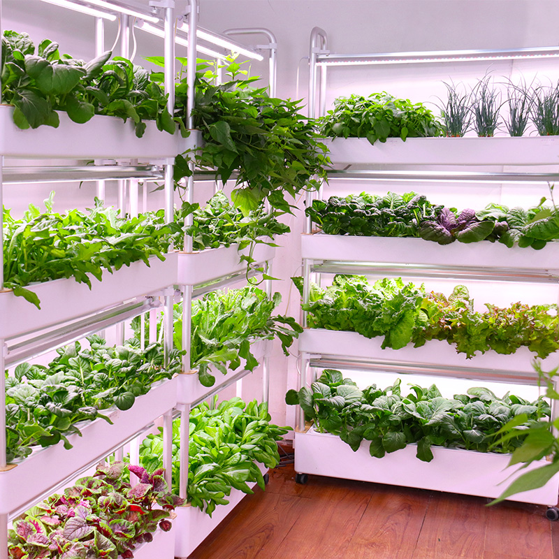 スマート室内庭園 水耕栽培システム LEDライト付き 垂直積 - Smart Garden Stackable Planters のレビューと価格