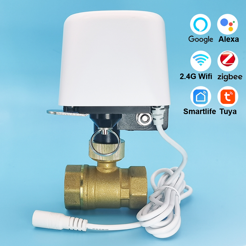 1/2インチ 3/4インチ 1インチ DN32 Tuya Z - Smart Garden Home Assistant のレビューと価格