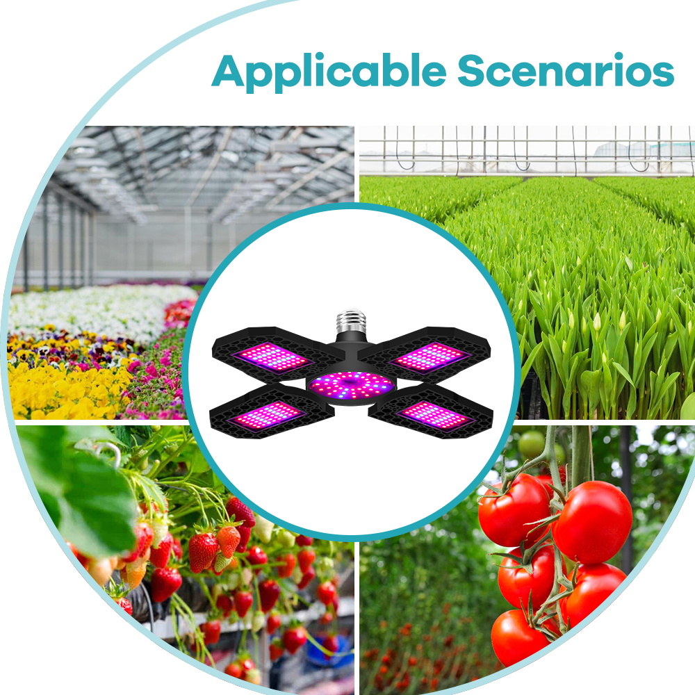 植物育成ライト LED 電球 E27/E26 フルスペクトル - Plant Grow Light Full Spectrum のレビューと価格