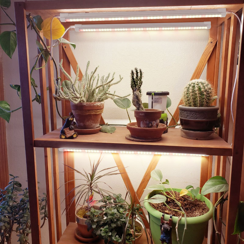 屋内緑化植物用補助光T8 LEDフルスペクトル育成チューブ（ - Plant Grow Light Full Spectrum のレビューと価格