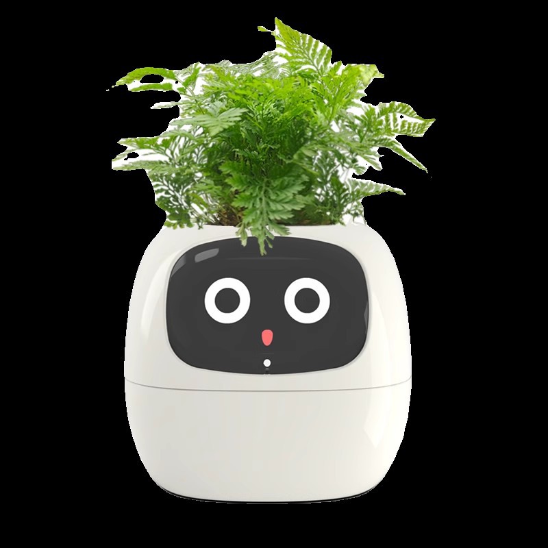 センサー付きスマートミミフラワーポット、顔認識アプリ対応デジ - Self Watering Pot Sensor のレビューと価格