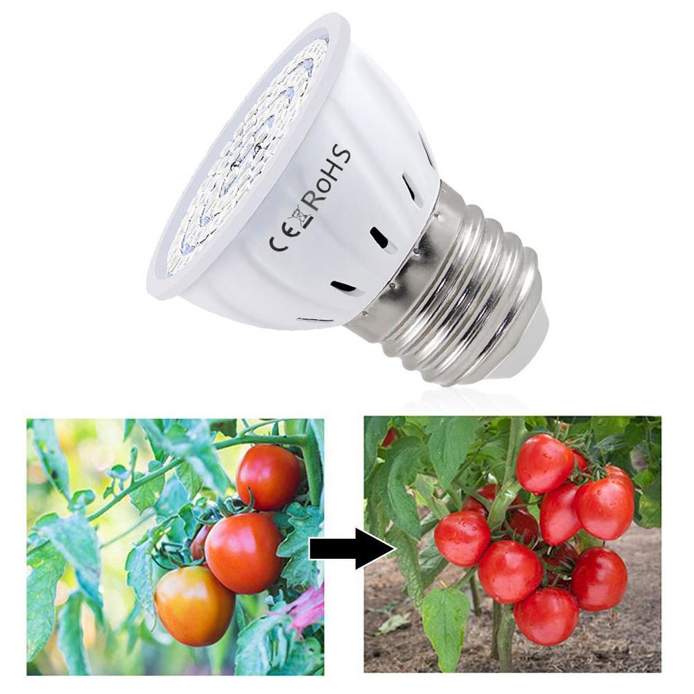LED 成長電球 E27 60 80LED フルスペクトル  - Plant Grow Light Full Spectrum のレビューと価格