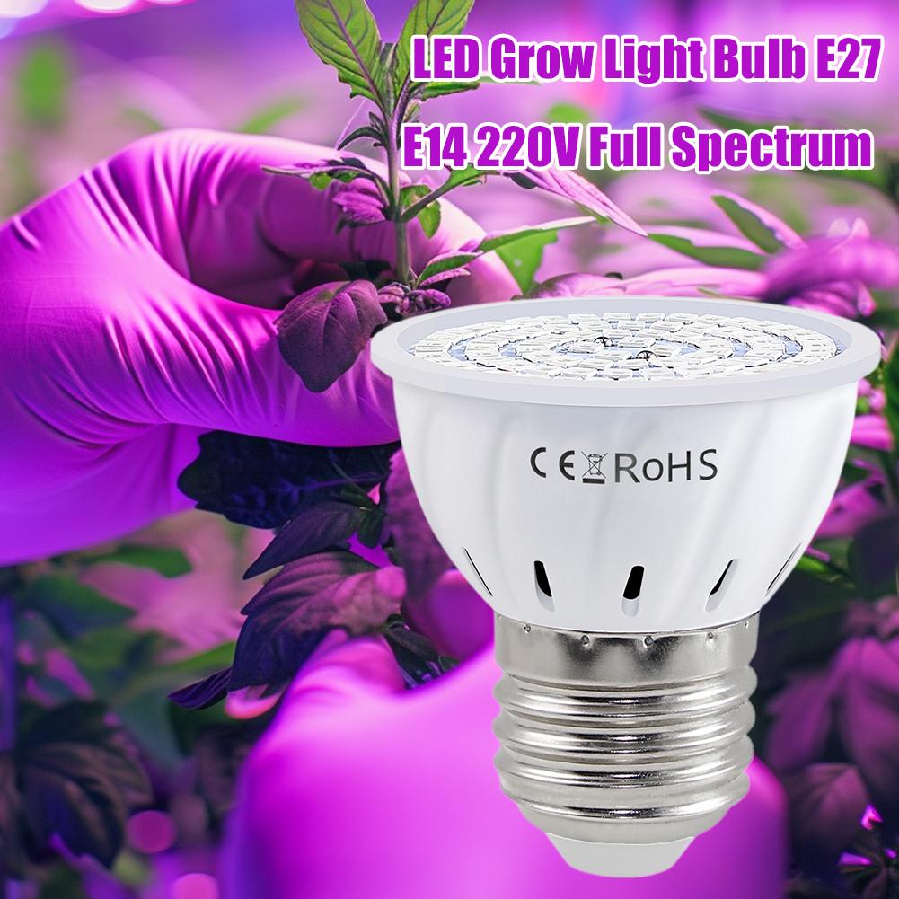 LED 成長電球 E27 60 80LED フルスペクトル  - Plant Grow Light Full Spectrum のレビューと価格