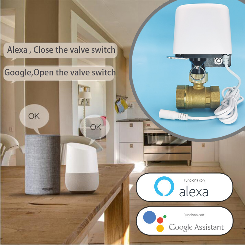 1/2インチ 3/4インチ 1インチ Tuya Zigbee - Smart Garden Home Assistant のレビューと価格