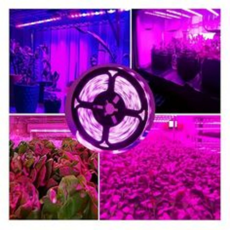 1 メートル/2 メートル/3 メートル/5 メートル/10 - Led Plant Light Strip のレビューと価格