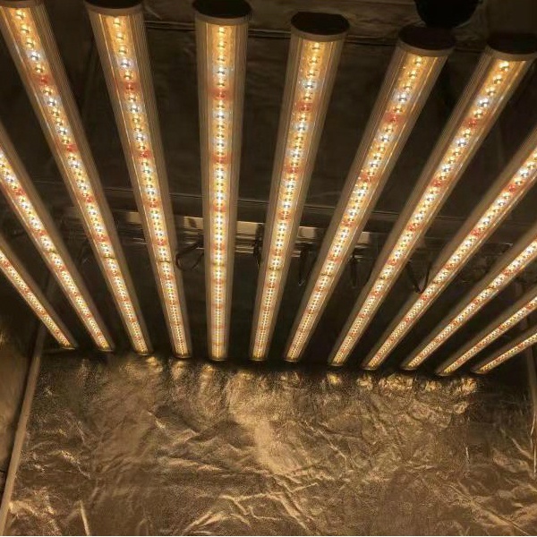 LUX中国工場製LED植物育成ライト12バー660w 100 - Plant Grow Light Full Spectrum のレビューと価格