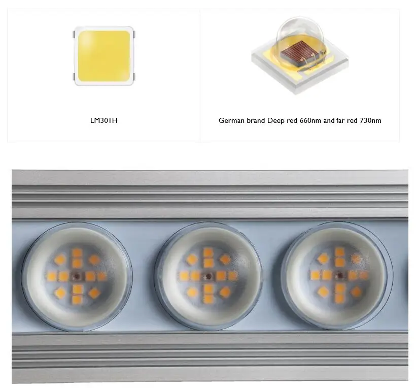 コレイ 900W 室内用フルスペクトル植物育成ライト LED - Led Plant Light Strip のレビューと価格